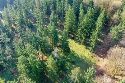 7123 115th Avenue SW, Olympia, WA 98512 - Photo 31