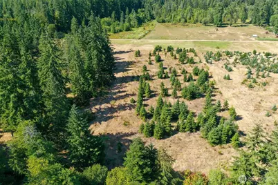 7123 115th Avenue SW, Olympia, WA 98512 - Photo 13