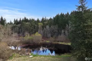 2723 Key Peninsula Hwy SW, Lakebay, WA 98349 - Photo 31