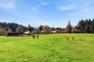 2723 Key Peninsula Hwy SW, Lakebay, WA 98349 - Photo 27