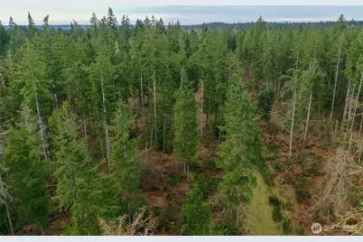 7128 115th Avenue SW, Olympia, WA 98512 - Photo 9