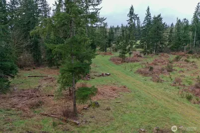 7128 115th Avenue SW, Olympia, WA 98512 - Photo 21