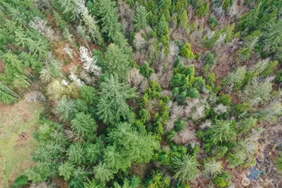 7128 115th Avenue SW, Olympia, WA 98512 - Photo 11