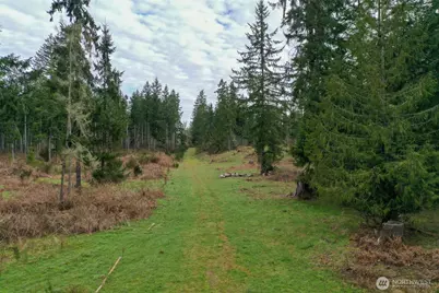 7128 115th Avenue SW, Olympia, WA 98512 - Photo 17