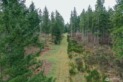 7128 115th Avenue SW, Olympia, WA 98512 - Photo 23