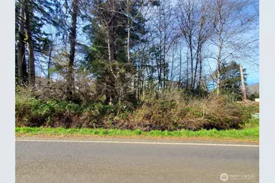 0 Sr 109, Copalis Beach, WA 98535 - Photo 5