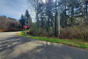 0 Sr 109, Copalis Beach, WA 98535 - Photo 1