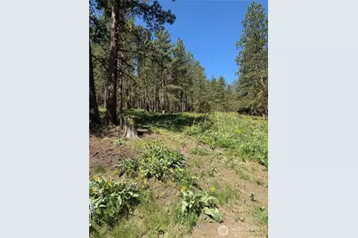 305 Sunrise Way, East Wenatchee, WA 98802 - Photo 11