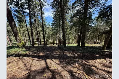 305 Sunrise Way, East Wenatchee, WA 98802 - Photo 27