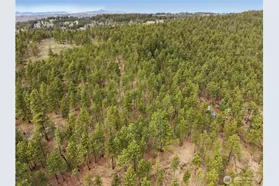 305 Sunrise Way, East Wenatchee, WA 98802 - Photo 3