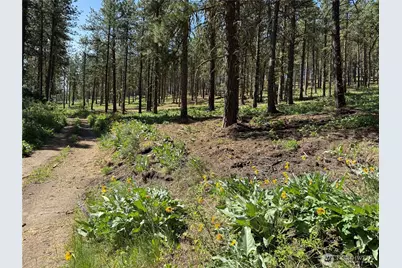 305 Sunrise Way, East Wenatchee, WA 98802 - Photo 9