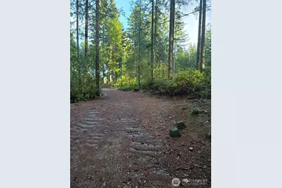 0 Lot #55 NE Collins (80 Collins Dr.) Drive, Tahuya, WA 98588 - Photo 5