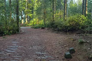 0 Lot #55 NE Collins (80 Collins Dr ) Dr, Tahuya, WA 98588 - Photo 5