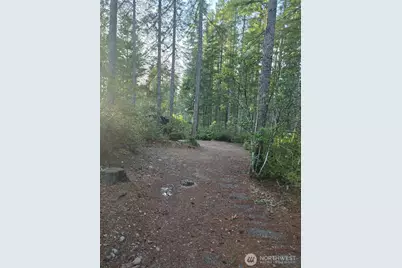 0 Lot #55 NE Collins (80 Collins Dr.) Drive, Tahuya, WA 98588 - Photo 3