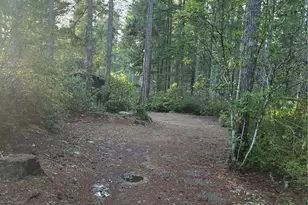 0 Lot #55 NE Collins (80 Collins Dr ) Dr, Tahuya, WA 98588 - Photo 3