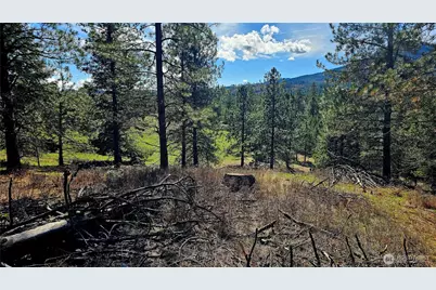 2068 Addy-Gifford Road, Addy, WA 99101 - Photo 7