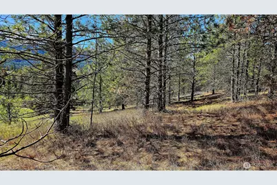 2068 Addy-Gifford Road, Addy, WA 99101 - Photo 11