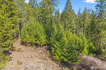 2068 Addy-Gifford Road, Addy, WA 99101 - Photo 37