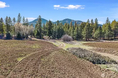 2068 Addy-Gifford Road, Addy, WA 99101 - Photo 3