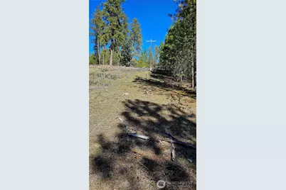 2068 Addy-Gifford Road, Addy, WA 99101 - Photo 9