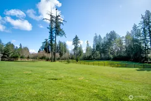 7436 Gallagher Cove Rd NW, Olympia, WA 98502 - Photo 15