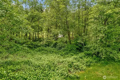 0 48th Avenue NW, Stanwood, WA 98292 - Photo 11