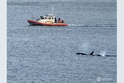 1374 Alki Avenue SW #400, Seattle, WA 98116 - Photo 3