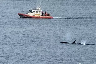 1374 Alki Ave SW, Seattle, WA 98116 - Photo 3