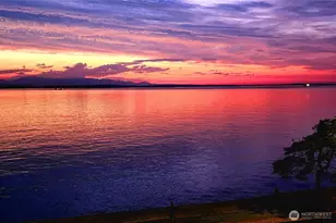 1374 Alki Ave SW, Seattle, WA 98116 - Photo 35