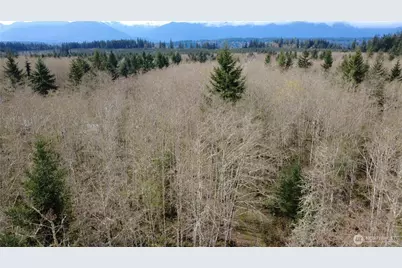 1 Xxxx Blacktail Court, Quilcene, WA 98376 - Photo 7