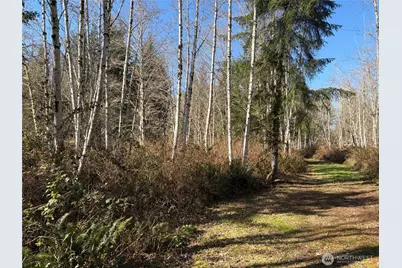 1 Xxxx Blacktail Court, Quilcene, WA 98376 - Photo 11