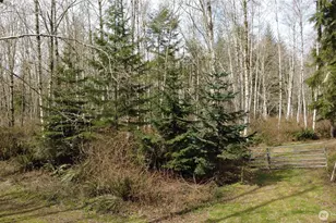 0 Blacktail Ct, Quilcene, WA 98376 - Photo 1