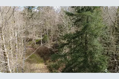 1 Xxxx Blacktail Court, Quilcene, WA 98376 - Photo 13