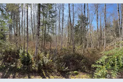 1 Xxxx Blacktail Court, Quilcene, WA 98376 - Photo 19