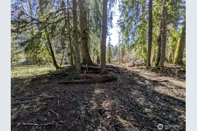 55912 317th Avenue E, Ashford, WA 98304 - Photo 13