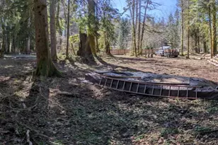 55912 317th Ave E, Ashford, WA 98304 - Photo 1