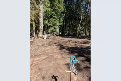 55912 317th Avenue E, Ashford, WA 98304 - Photo 5