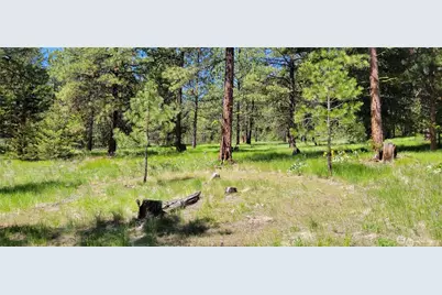 374 Bench Creek Road, Tonasket, WA 98855 - Photo 1