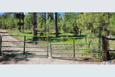 374 Bench Creek Road, Tonasket, WA 98855 - Photo 3