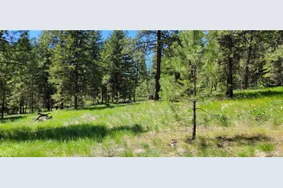 374 Bench Creek Road, Tonasket, WA 98855 - Photo 5