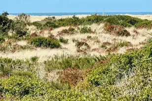 1031 S Sand Dune Ave SW, Ocean Shores, WA 98569 - Photo 27