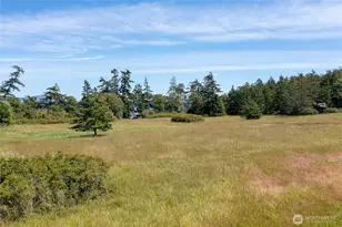 403 Eliza Rd, Lopez Island, WA 98261 - Photo 31