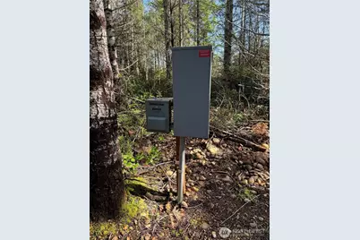 151 E Amy Court, Shelton, WA 98584 - Photo 5