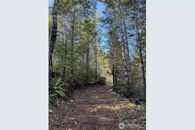 151 E Amy Court, Shelton, WA 98584 - Photo 3