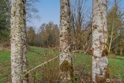 245 145th Lane SW, Tenino, WA 98589 - Photo 9