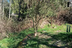 17242 Heather Ln SE, Yelm, WA 98597 - Photo 9