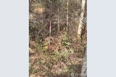 7688 SW Grace Street, Port Orchard, WA 98107 - Photo 13