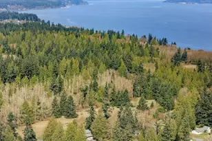 4311 Lunberg St, Langley, WA 98236 - Photo 23