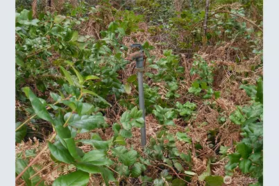 12545 Lindi Lane SW, Port Orchard, WA 98367 - Photo 37