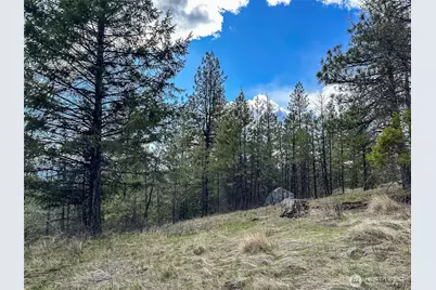 817 Dominion Springs Way, Colville, WA 99114 - Photo 33